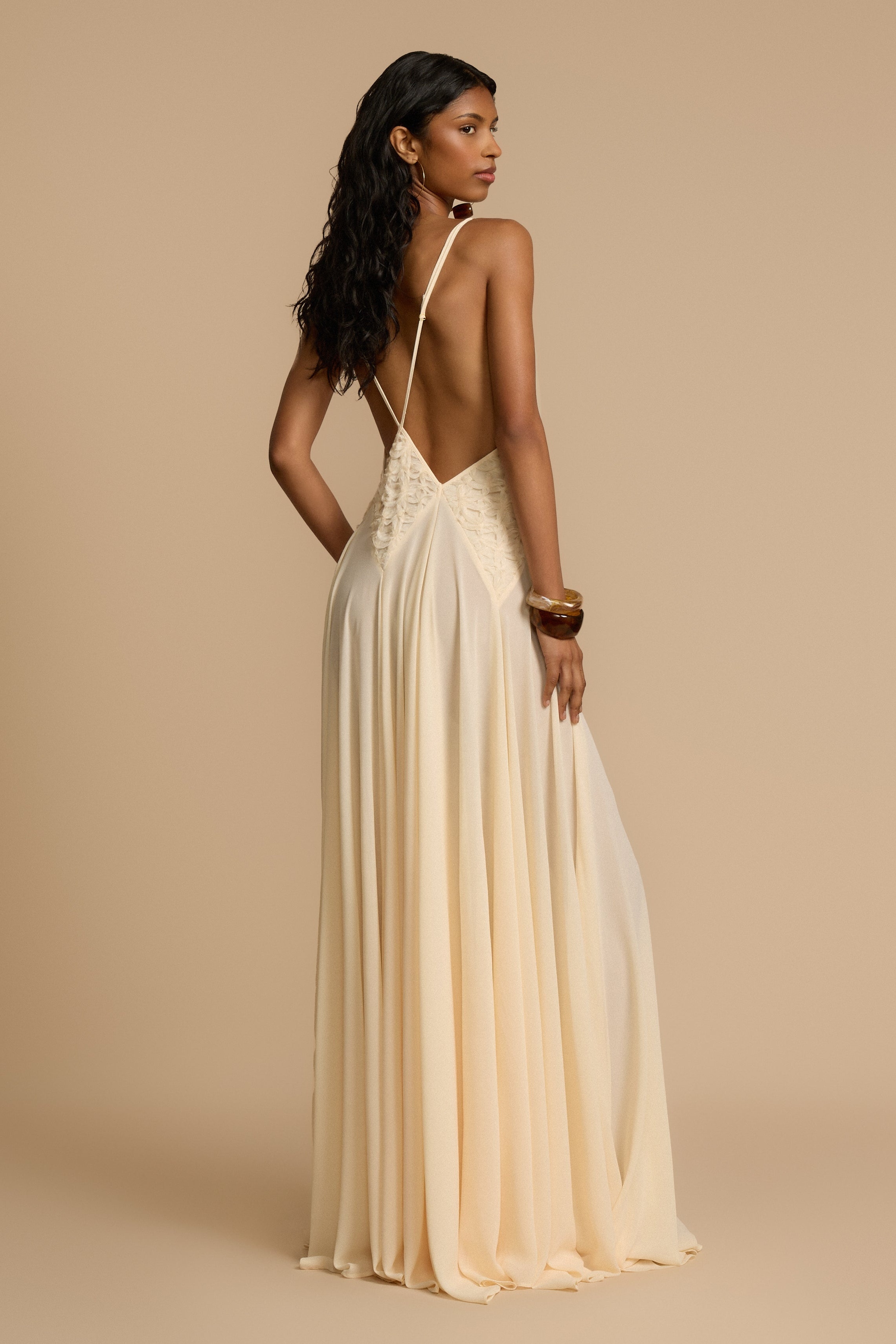 Cecilia Plunge Neck Chiffon Maxi Dress-purelyfable