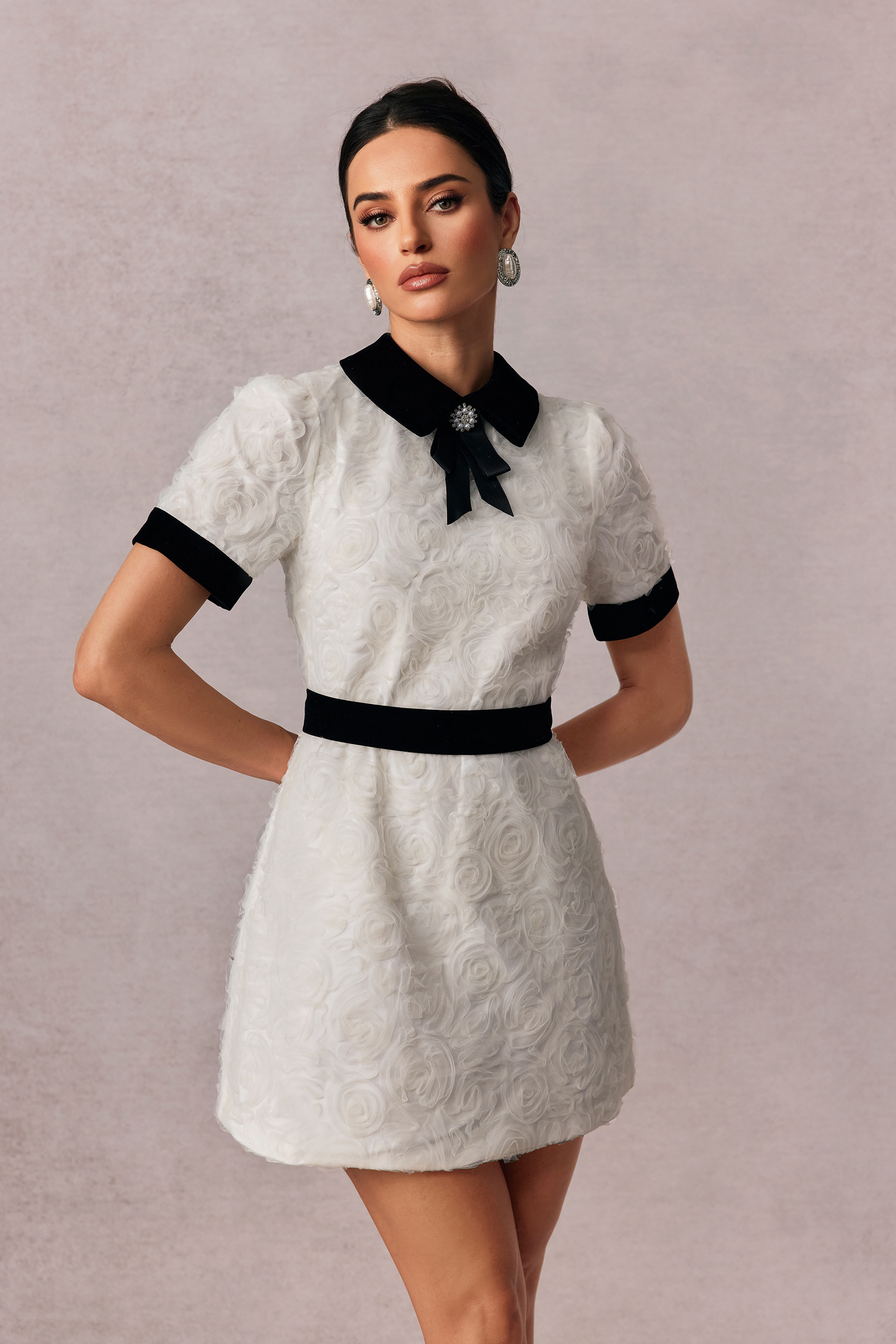 Belinda Rose Embellished Short Sleeve Mini Dress-purelyfable