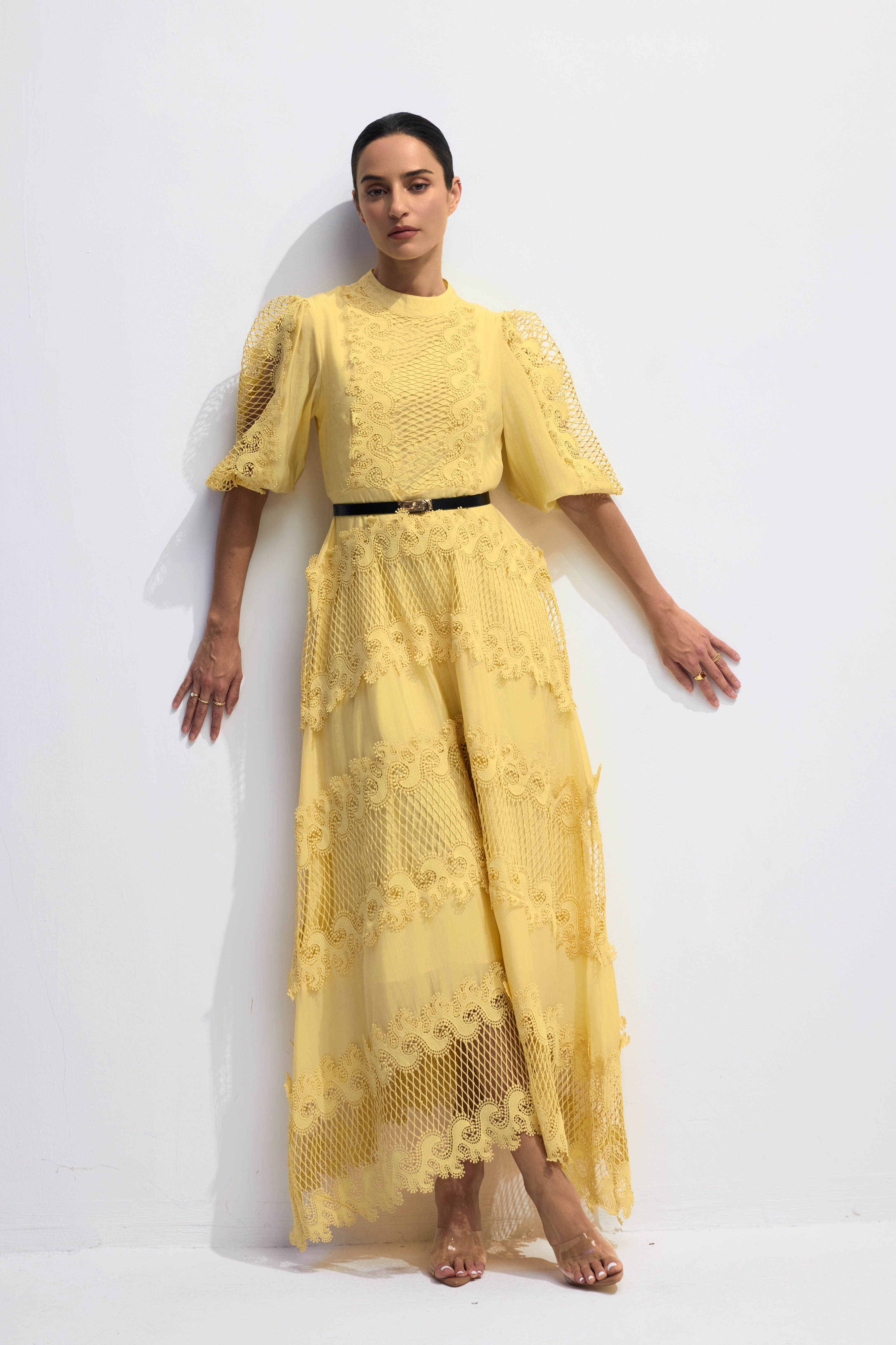 Alanna Embroidered Lace Puff Sleeve Maxi Dress-purelyfable