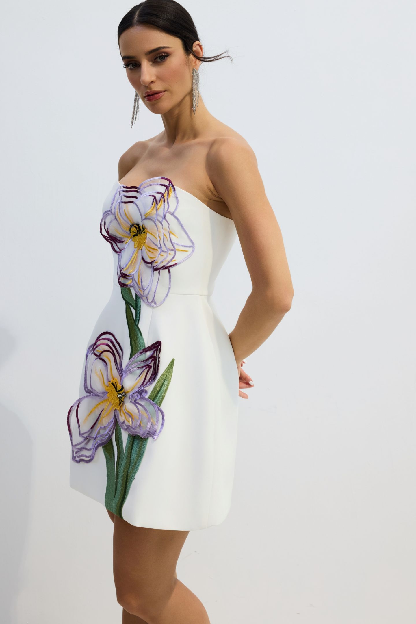 Lorena Floral Applique Strapless Mini Dress-purelyfable