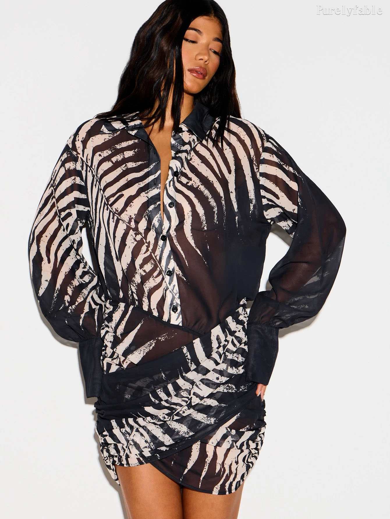 Ivy Black Zebra Print Shirt Style Short Dress