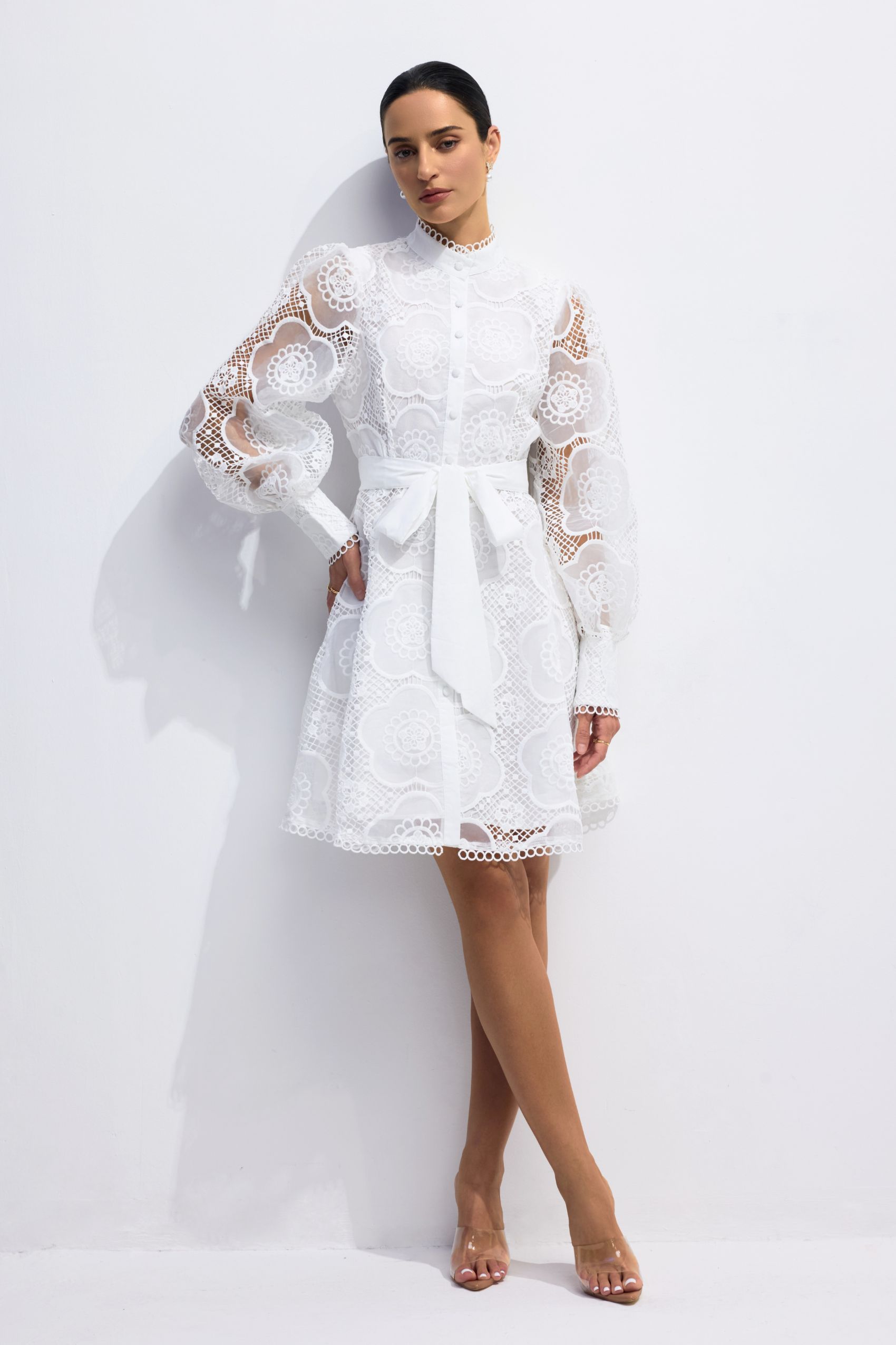 Helena Floral Lace Lantern Sleeve Mini Dress-purelyfable