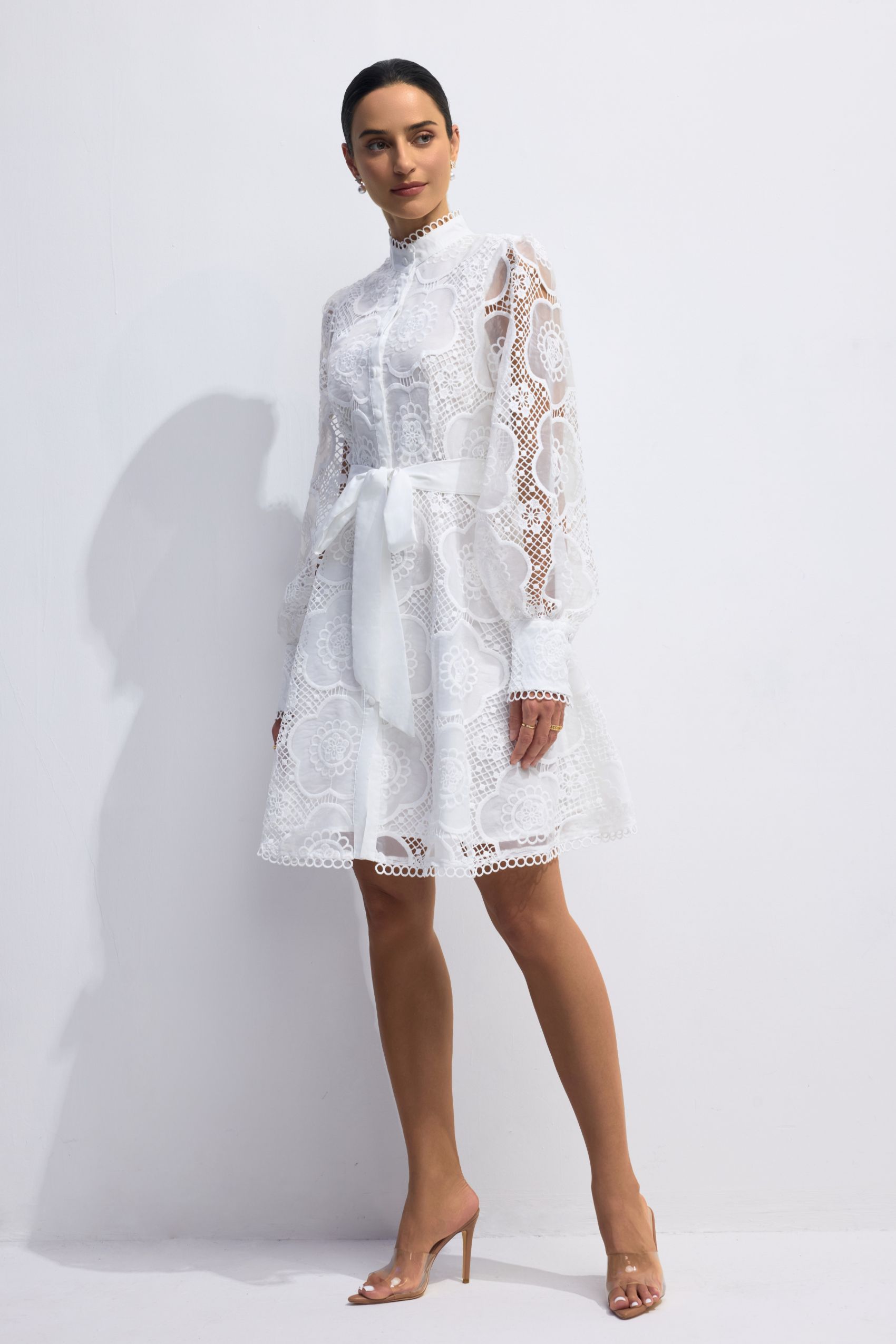 Helena Floral Lace Lantern Sleeve Mini Dress-purelyfable