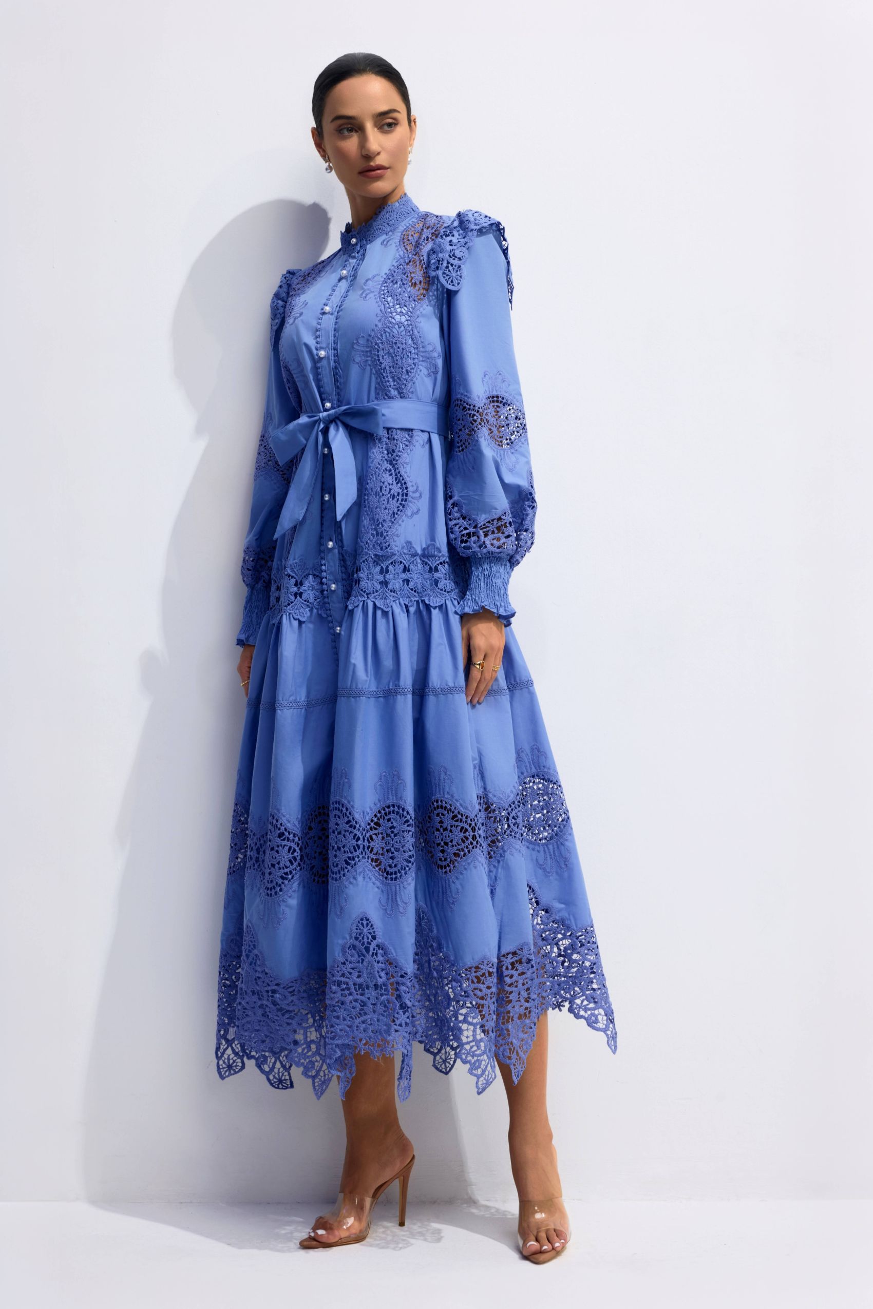 Alina Embroidered Lace Long Sleeve Midi Dress-purelyfable