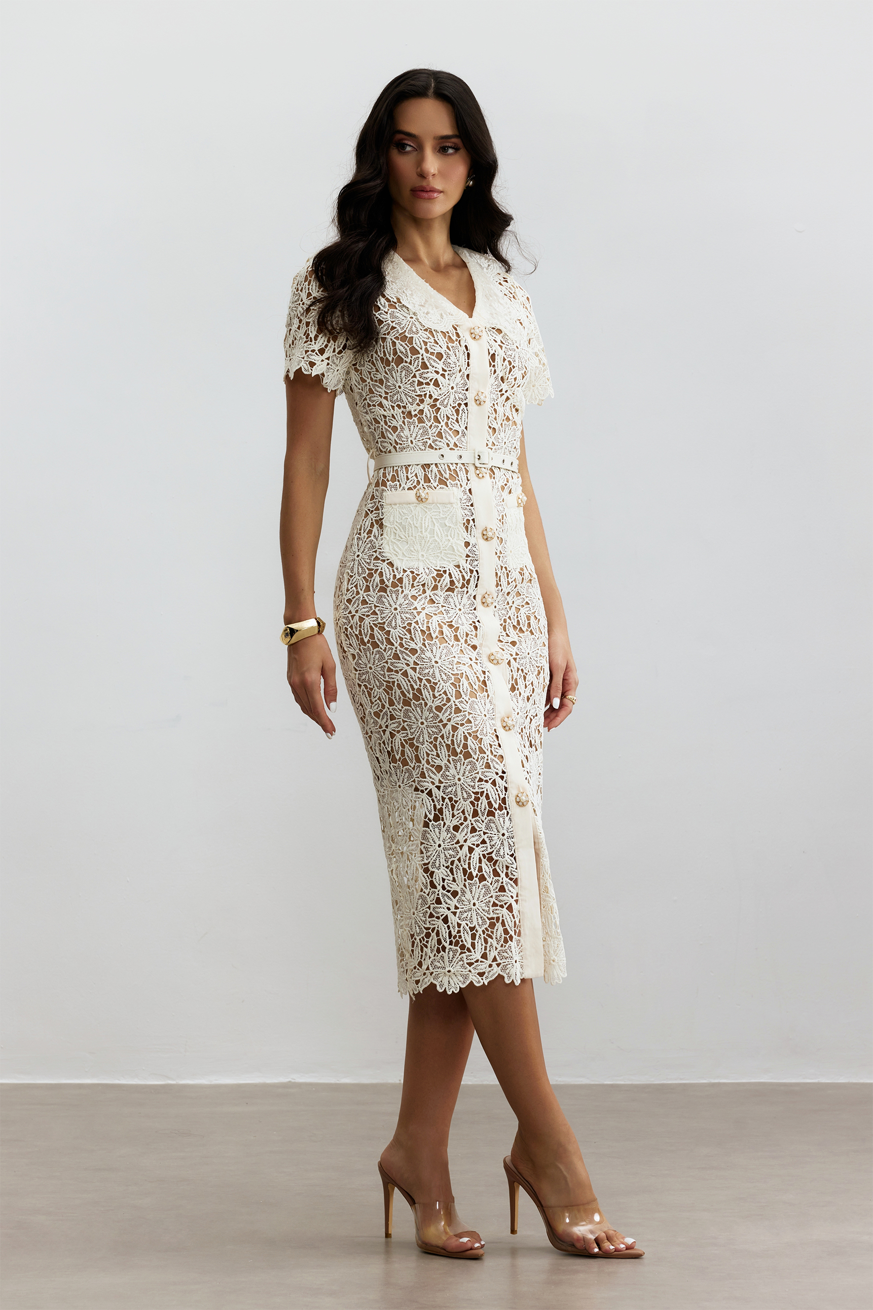 Annette V Neck Embroidered Lace Midi Dress-purelyfable
