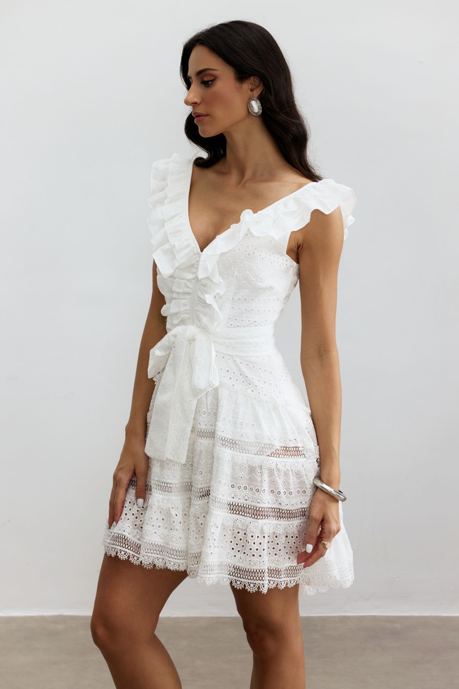 Helena V-neck Lace Embroidery Mini Dress-purelyfable