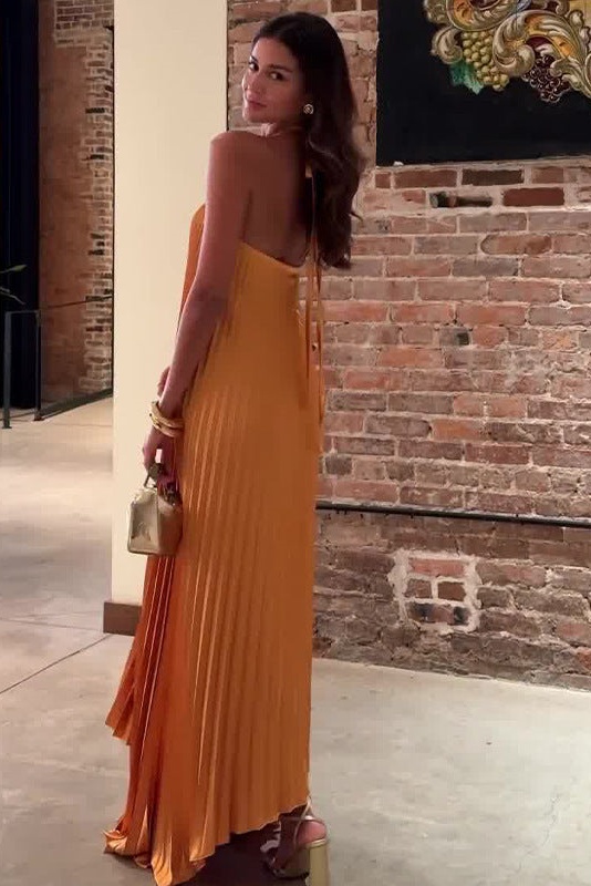 Novia Halter Neck Pleated Maxi Dress-purelyfable