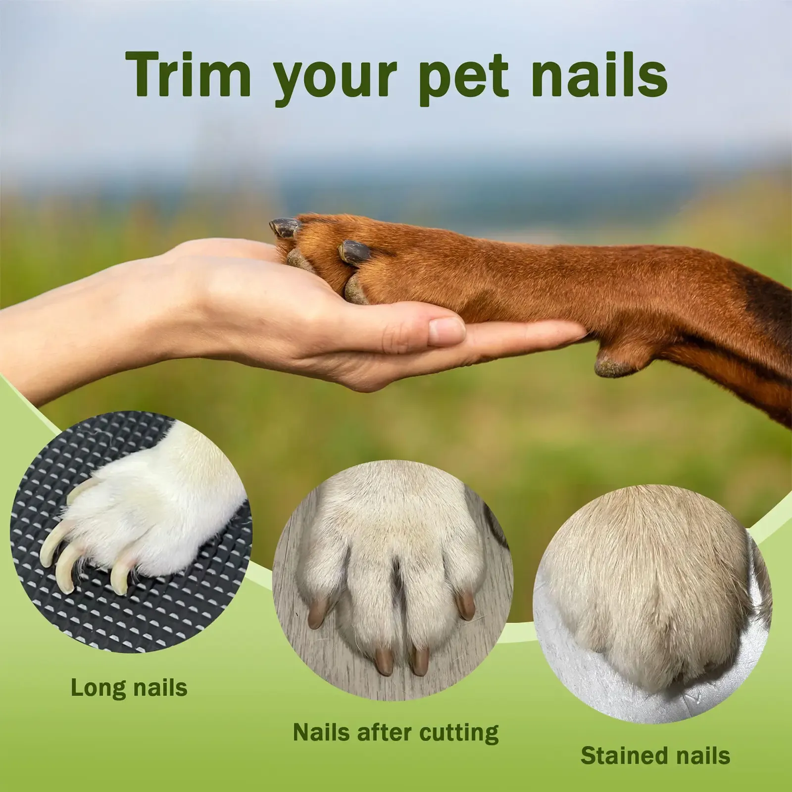 2-in-1 Nail Clippers for Pet