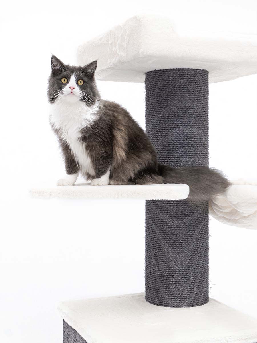 Cat Tree with Cat Condo and Hammock