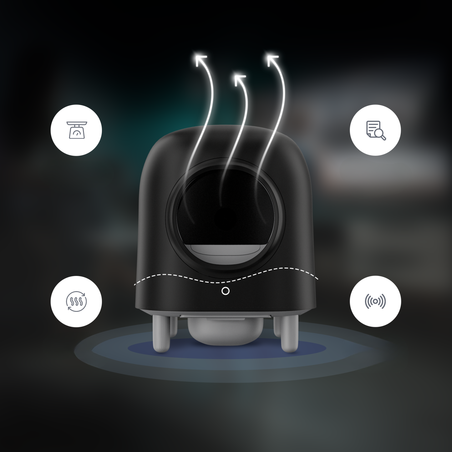 Self-Cleaning Litter Box