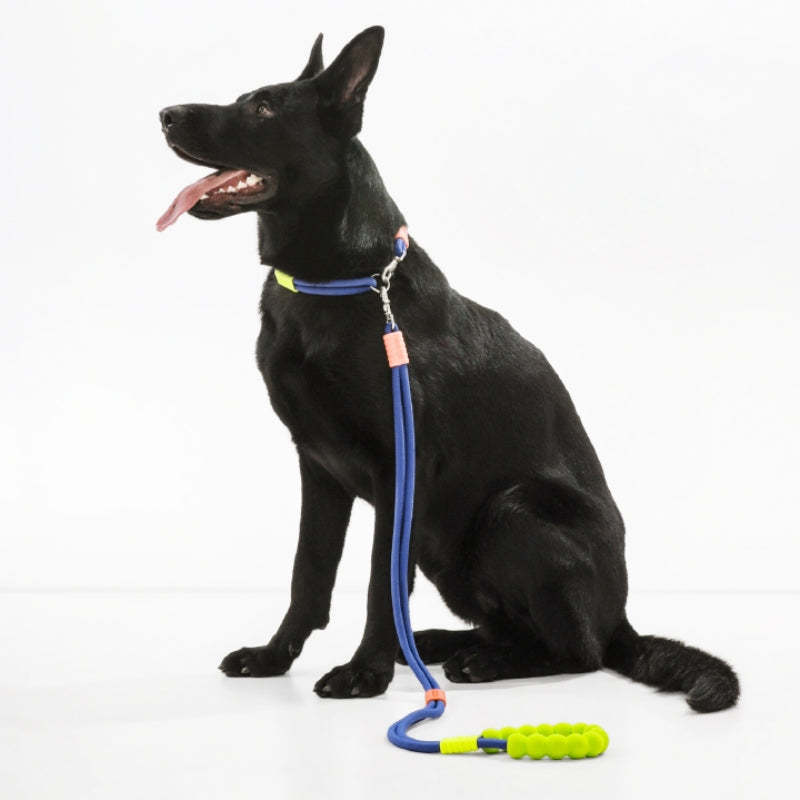 Cotton Dual-Section Braided Dog Walking Leash