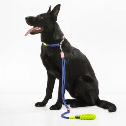 Cotton Dual-Section Braided Dog Walking Leash