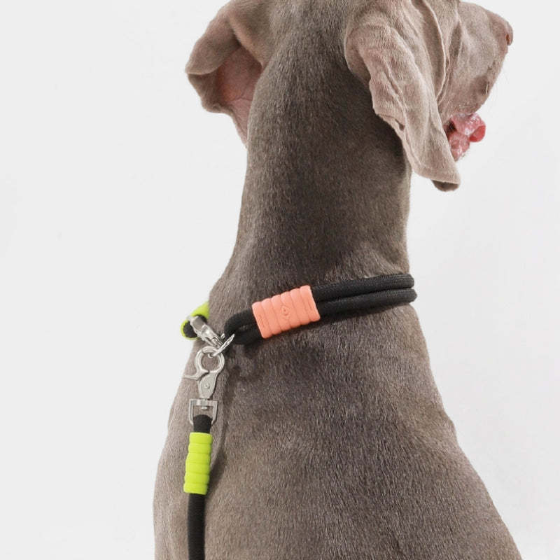 Cotton Dual-Section Braided Dog Walking Leash