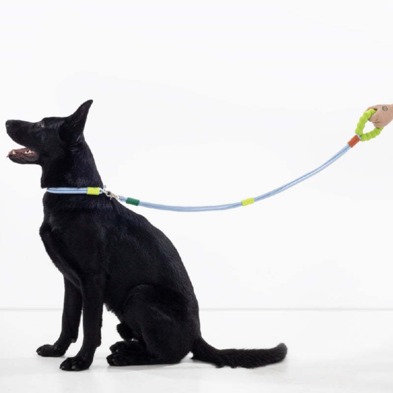 Cotton Dual-Section Braided Dog Walking Leash