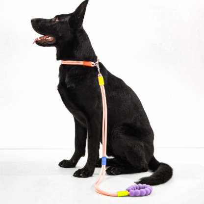 Cotton Dual-Section Braided Dog Walking Leash