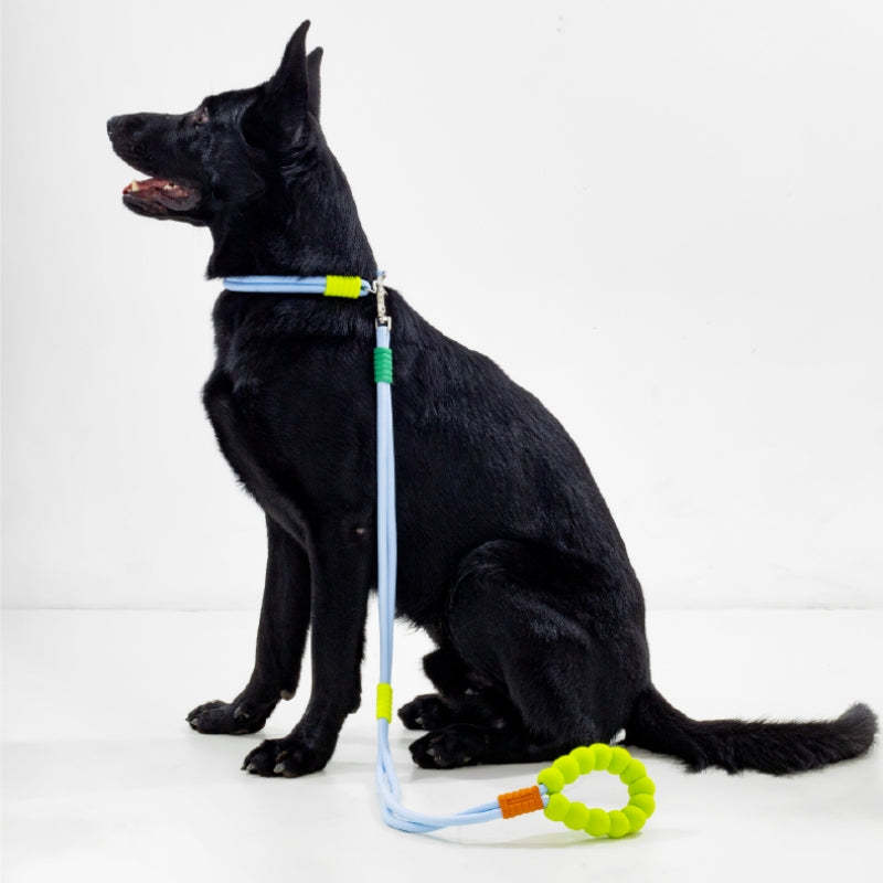 Cotton Dual-Section Braided Dog Walking Leash