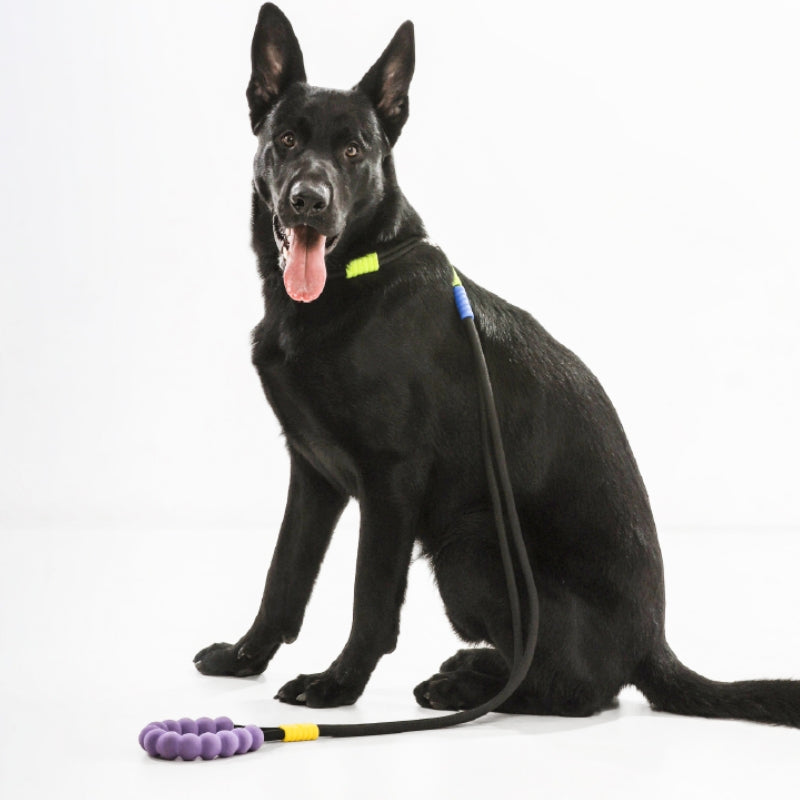 Cotton Dual-Section Braided Dog Walking Leash