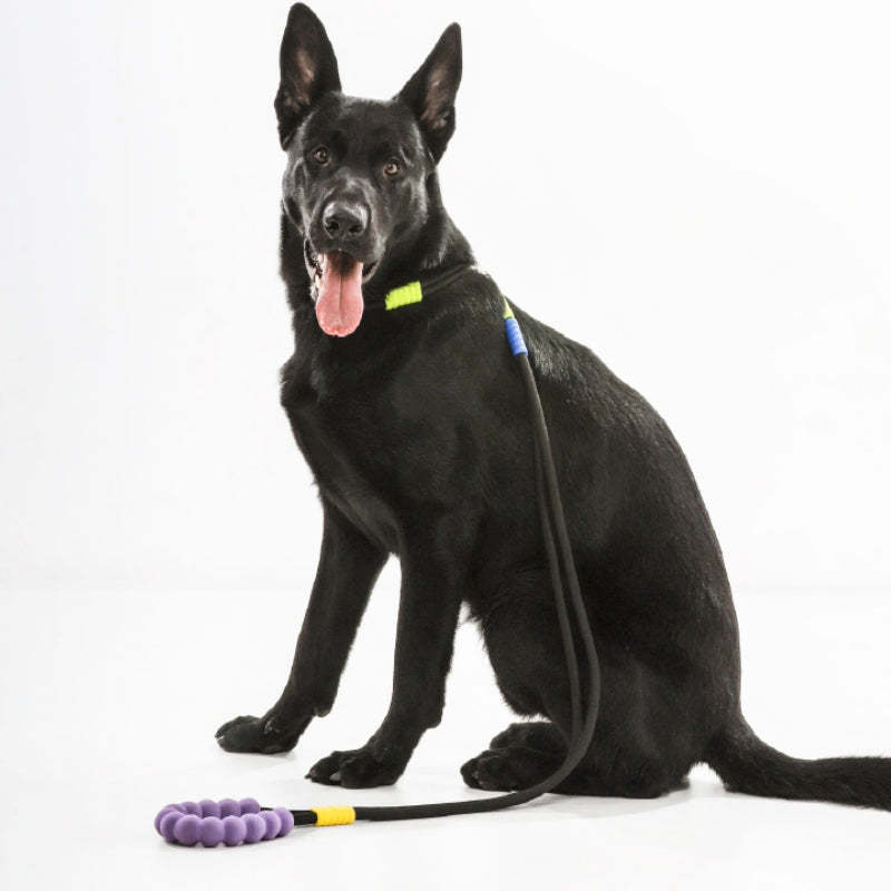 Cotton Dual-Section Braided Dog Walking Leash