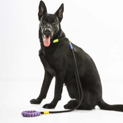 Cotton Dual-Section Braided Dog Walking Leash