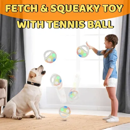 Indestructible Dog Ball with Handle