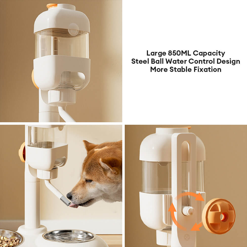Pet Feeding Bowl Station Food Dispenser With Automatic Water