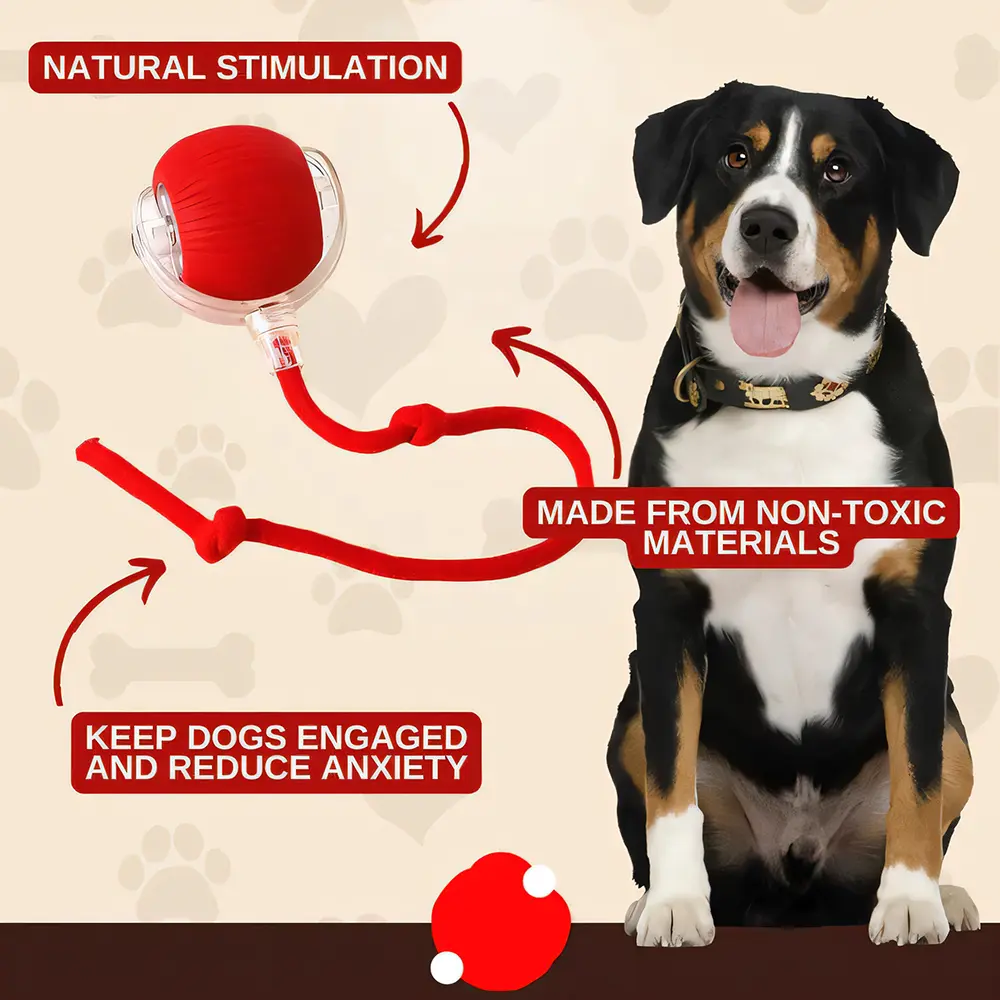 2026 New – Interactive Rolling Ball for Cat & DogInteractive Rolling Ball for Cat & Dog