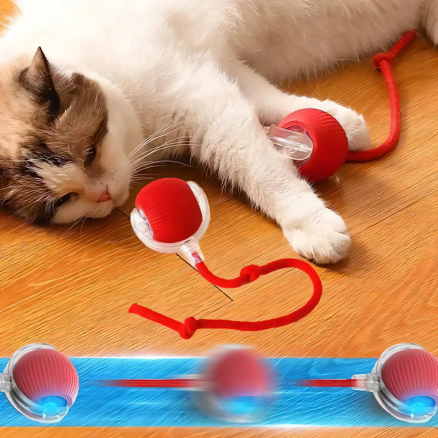 2026 New – Interactive Rolling Ball for Cat & DogInteractive Rolling Ball for Cat & Dog