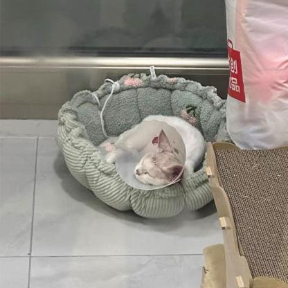 Clouds Petals Cat Bed 3 Colors Adjustable Mat