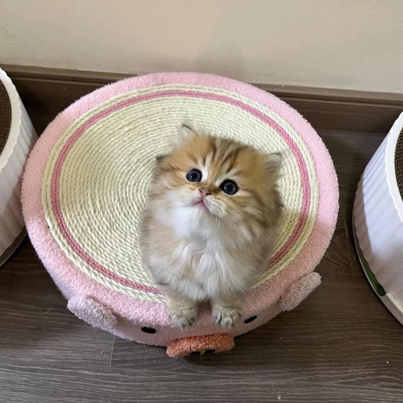 Cute Pig Cat Bed Round Scratching Pad