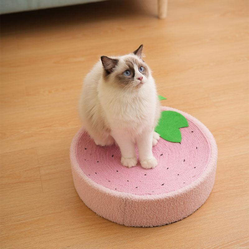 Cute Pig Cat Bed Round Scratching Pad