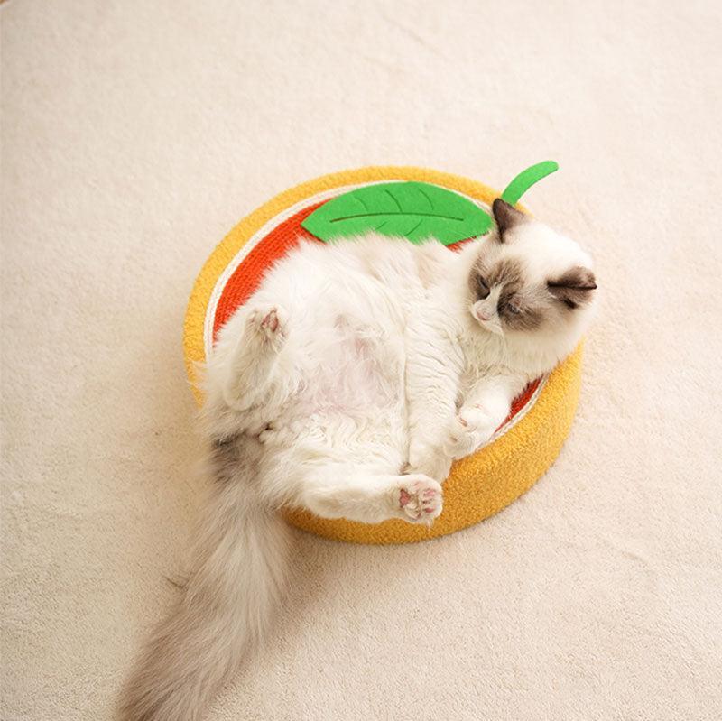 Cute Pig Cat Bed Round Scratching Pad