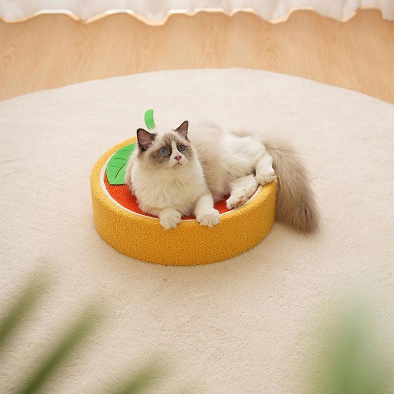 Cute Pig Cat Bed Round Scratching Pad
