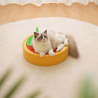 Cute Pig Cat Bed Round Scratching Pad