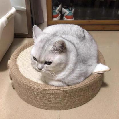 Cute Pig Cat Bed Round Scratching Pad