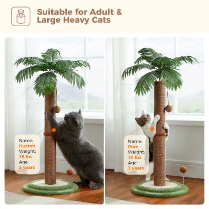 34" Coconut Palm Cat Scratching Post with Interactive Balls for Indoor Cats, Brown