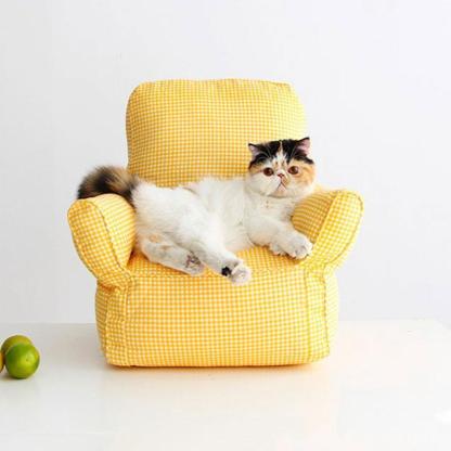 Mini Cat Armchair Sofas Fluffy 4 Color Bed Couch