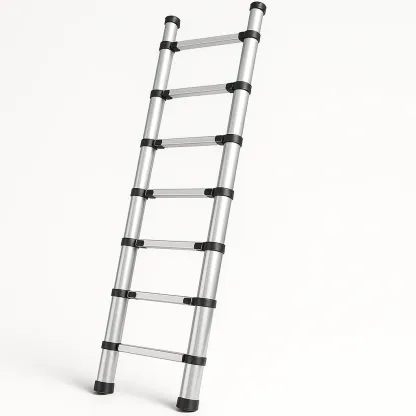 Échelle télescopique en aluminium argenté-Roomauranow