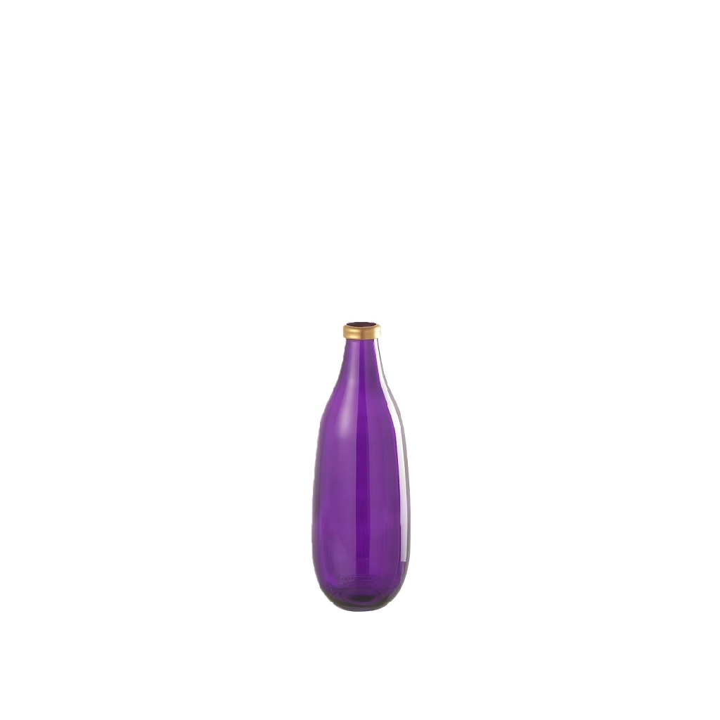 Slanke Glazen Flesvaas - Transparant Paars met Gouden Rand-nancyamber.shop