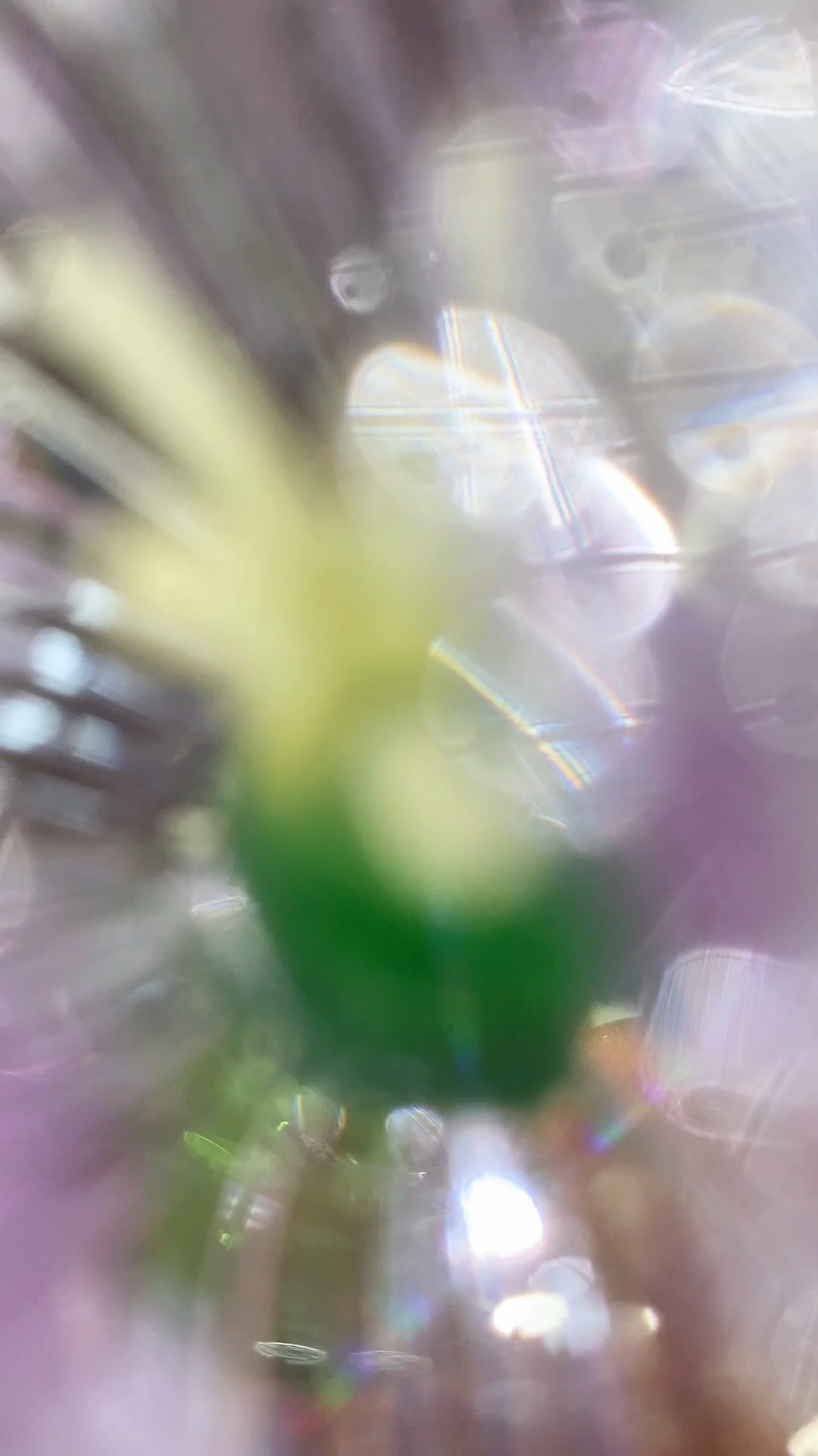 Custom Birth Flower Vase with Kid's Name & Glass Flower Keepsake Gift Mother's Day Gift