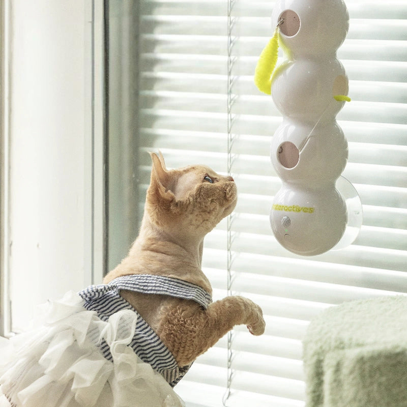 Darlingifts Interactive Electric Caterpillar Cat Toy