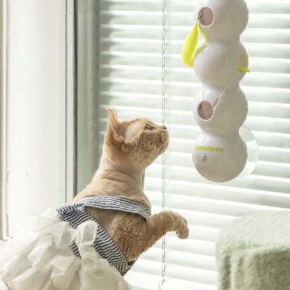 Darlingifts Interactive Electric Caterpillar Cat Toy