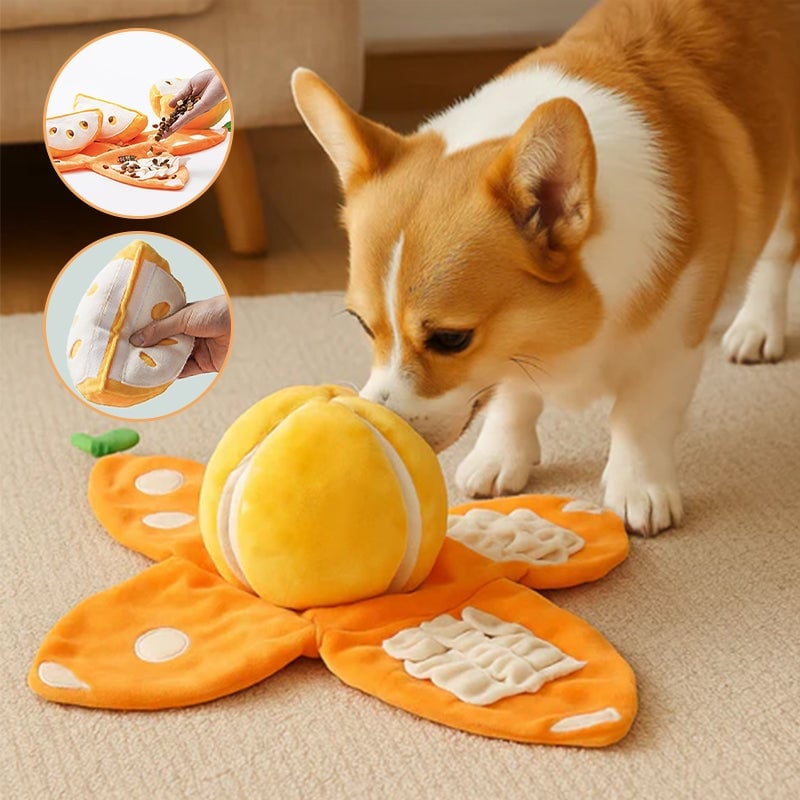 Orange Hide-and-Seek Plush Dog Toy
