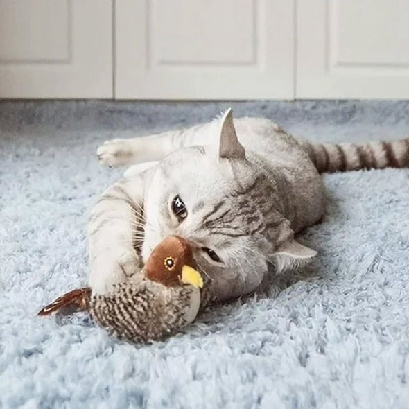 Upgraded Simulated Chirping Bird，Cat toy Bird