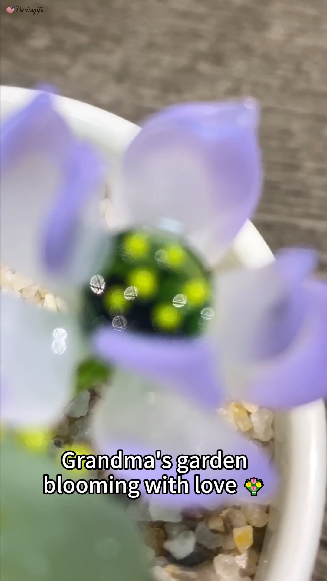 Custom Birth Flower Pot with Mini Glass Flower Spring Decoration Mother's Day Gift