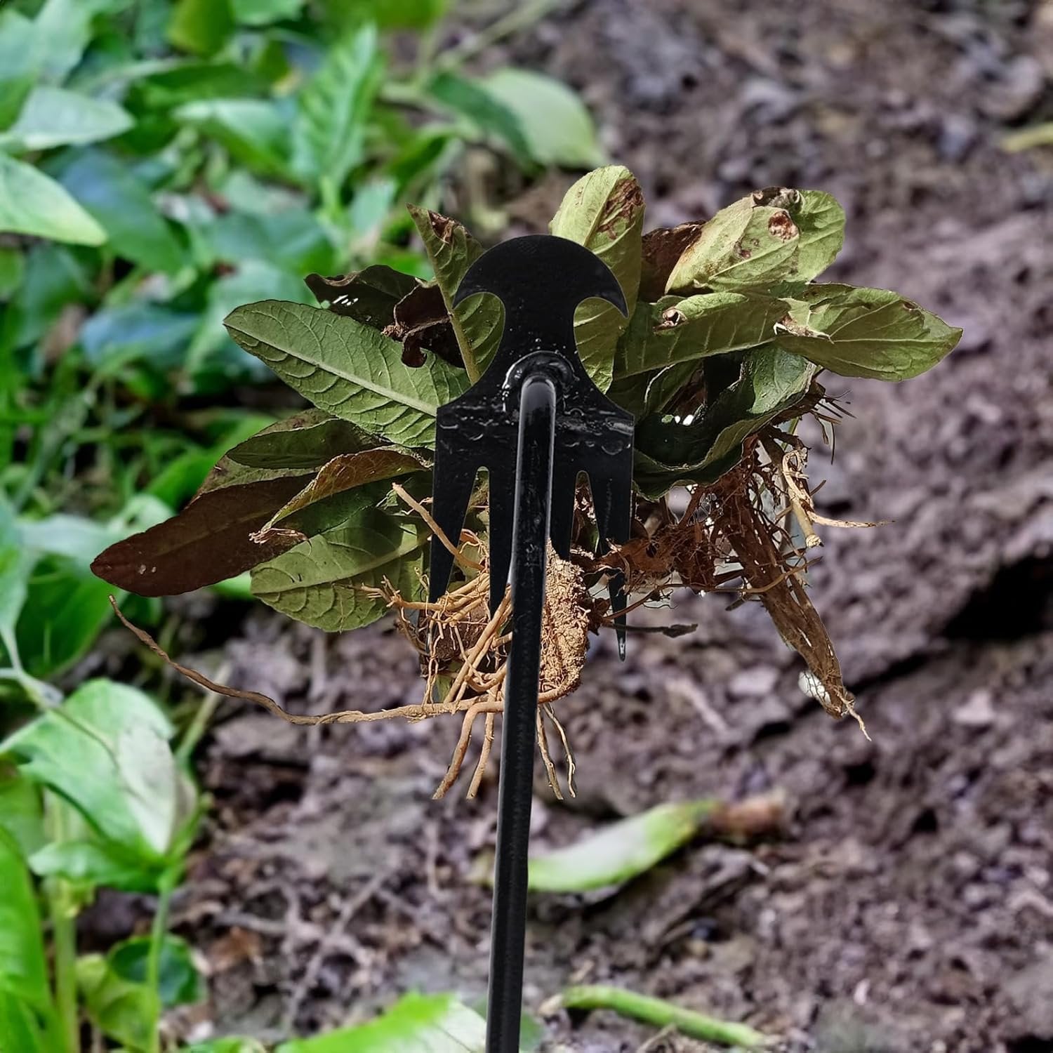 New Garden Weed Pulling Tool