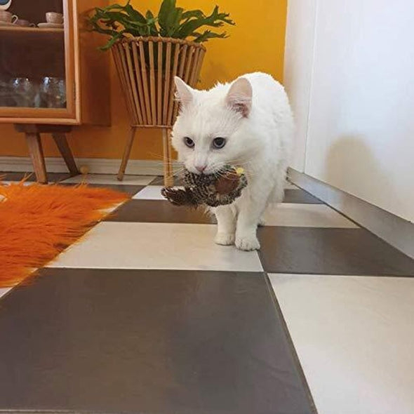 Upgraded Simulated Chirping Bird，Cat toy Bird