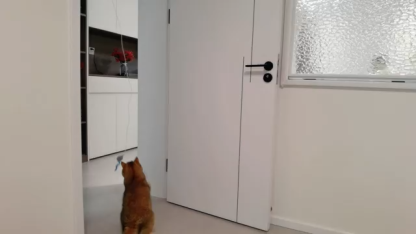 Smart USB Rechargeable Door Hanging Automatic Retractable Cat Enrichment Interactive Toys