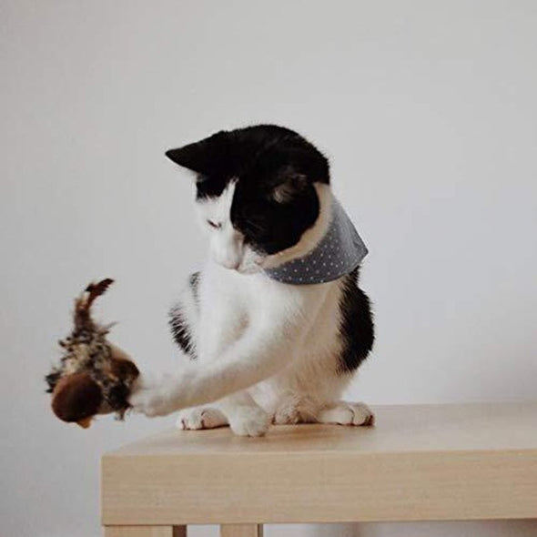 Upgraded Simulated Chirping Bird，Cat toy Bird