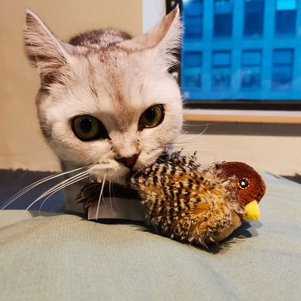Upgraded Simulated Chirping Bird，Cat toy Bird