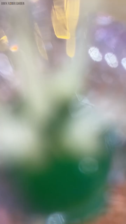 Custom Birth Flower Vase with Glass Flower Spring Decoration Mother's Day Gift